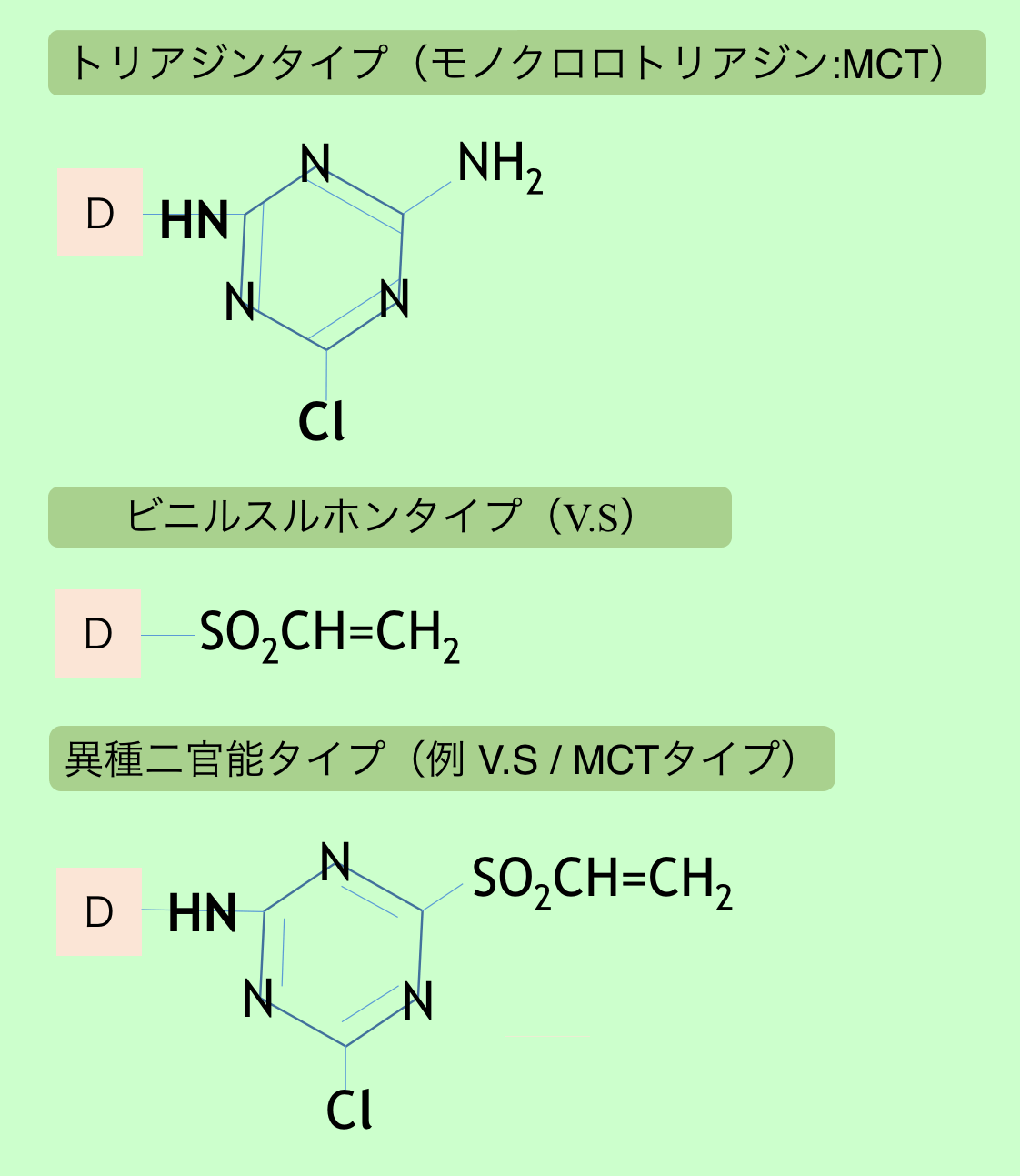 セルロースの反応染料による染色モデルの図（D＝色素母体）