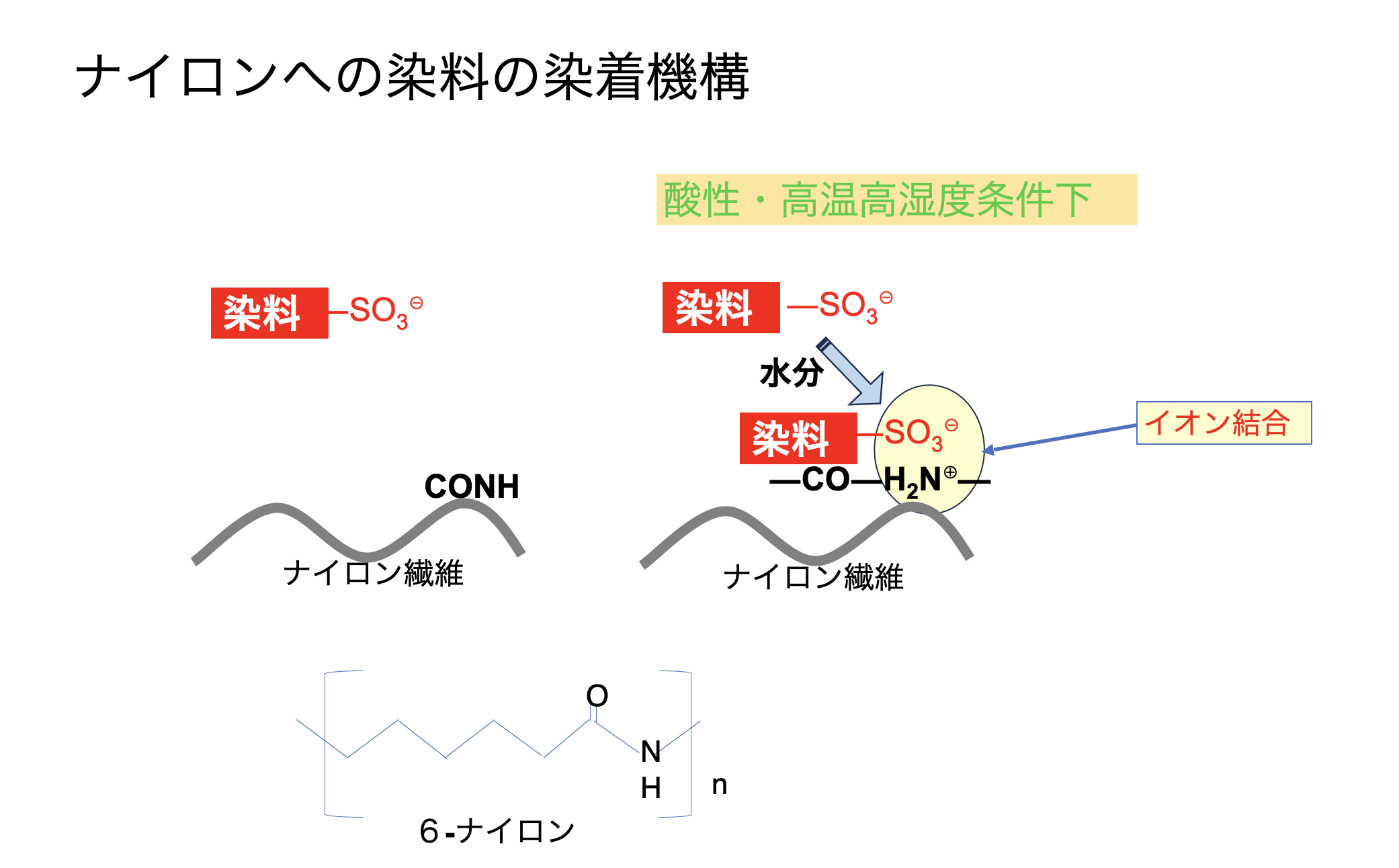 ナイロンへの染料の染着機構